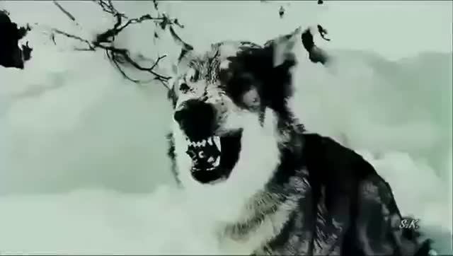 Ee0e029d72d27a404acf6305b2c0e410