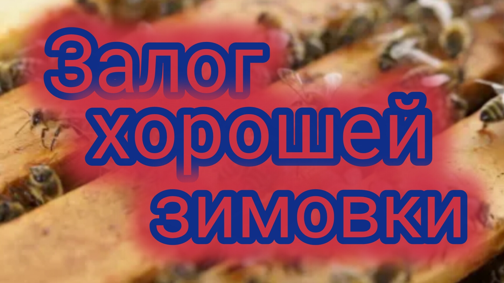 Залог хорошей зимовки