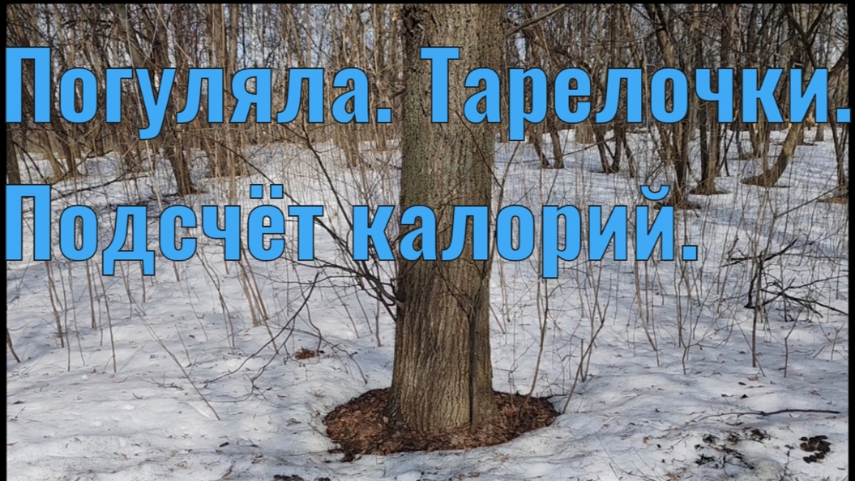 Ночной жор. Подсчёт калорий. Тарелочки. Прогулка.