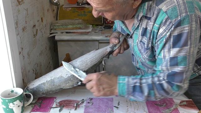 Срезать чешую с кеты ножом . Ни мусора ,ни слизи