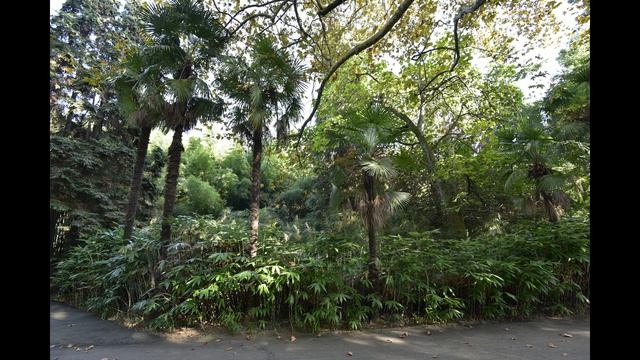 Дендрарий Сочи 13.10.2018