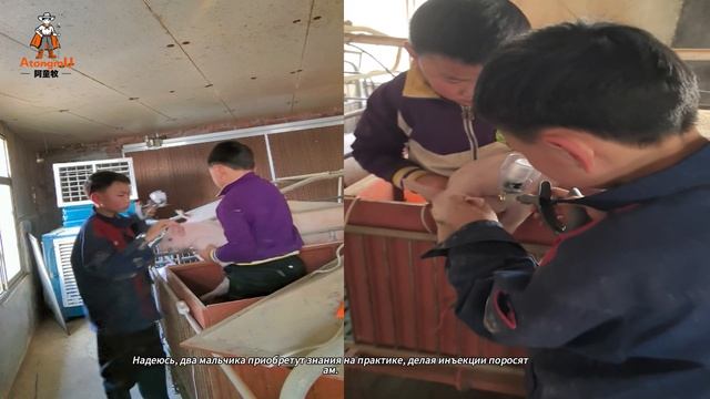 В праздники научимся пользоваться непрерывным шприцем для свиней.