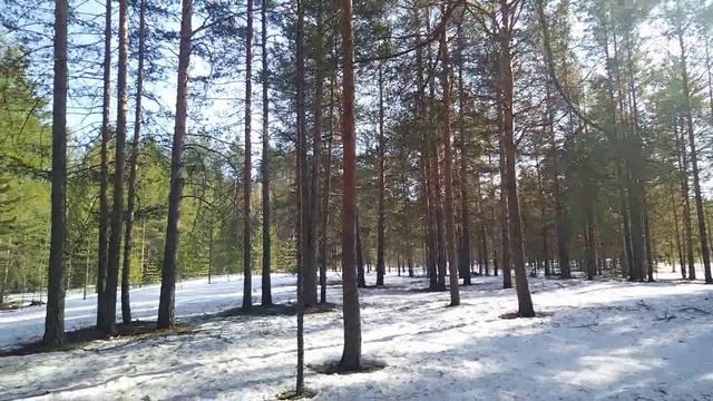 Весна идёт,Весне дорогу.Небольшой обзор.