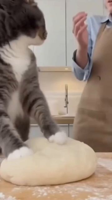 Не мешай, любимая, не сбивай меня!