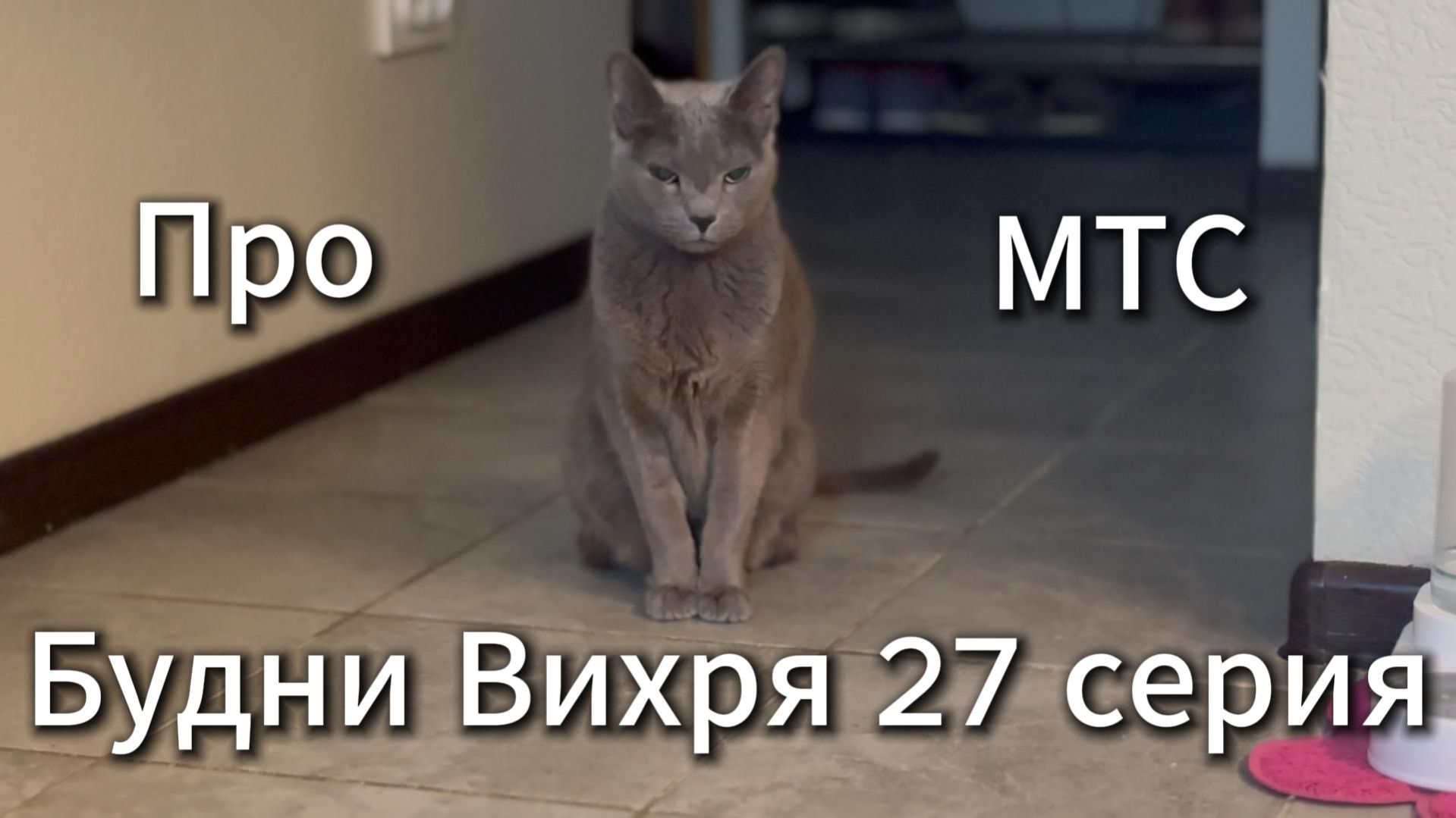 Будни Вихря 27 серия #я #Вихрицкий #Блогер #сериал #мы #счастье #россия #любовь #юмор #песня #вихрь