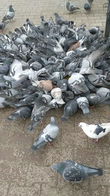 Ангел Послание 26.03.2026 Денежный Портал 😍🥰😘💋❤️😇👍🧿🔮🪄💰💎📝🌍