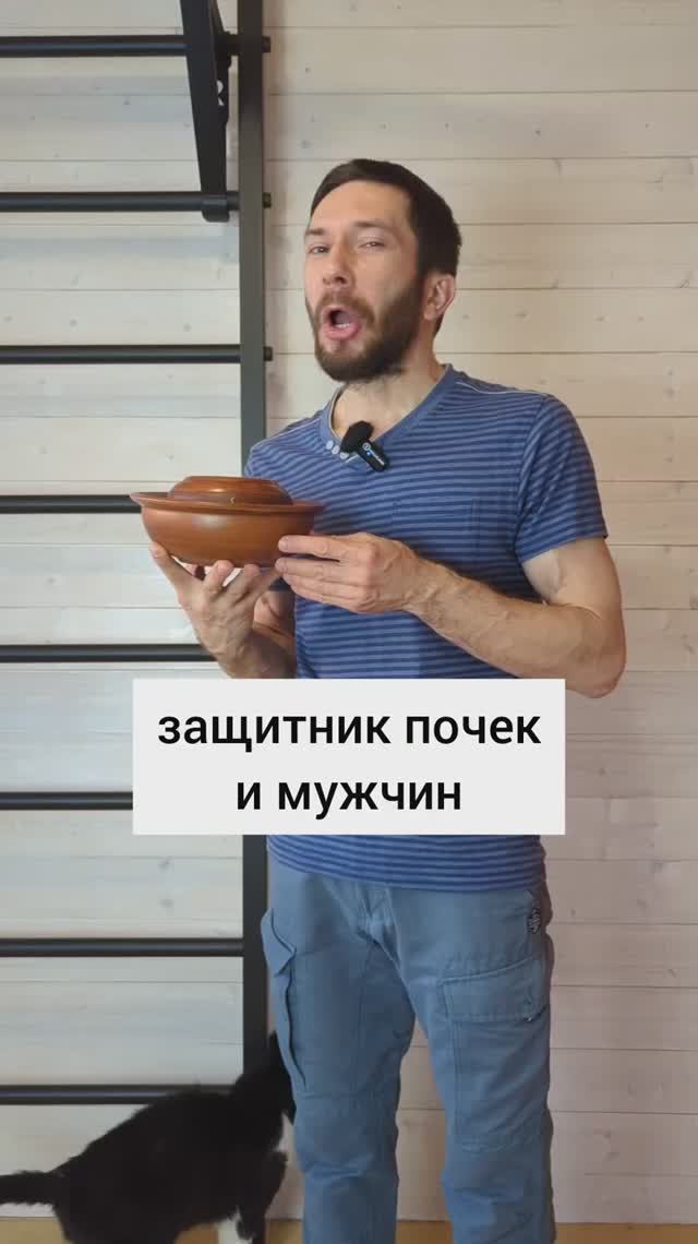 Защитник почек и мужчин