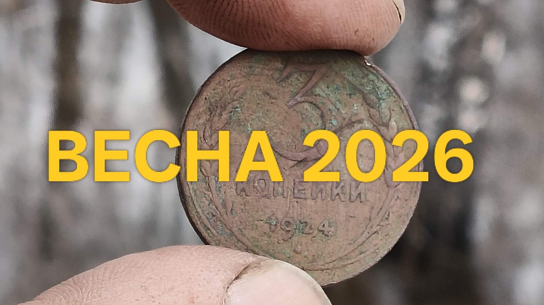 Весна 2026/поиск монет с металлоискателем #поискмонет2026 #nokta #коп #копмонет #61