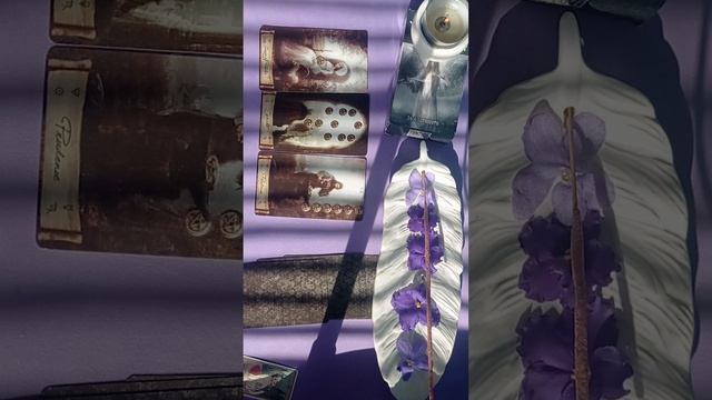 Что говорит о вас ЗЧ на самом деле ❓😉🤩⭐#эзотерика #гадание #таро