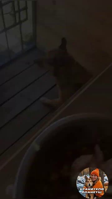 Катюша: настроение 