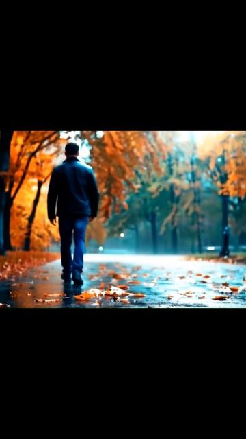 92e5eef05554c0286389661ff0577e0a