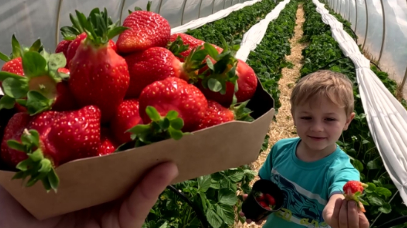 C845f9f9e336a8ac589e575e618c164e