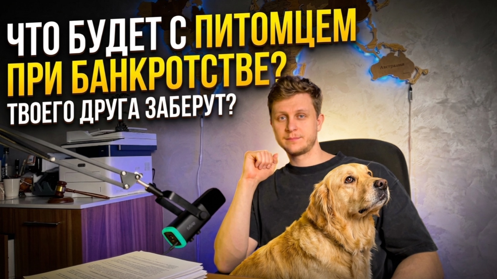 Заберут ли домашних животных при банкротстве физического лица? | История с 7 овчарками