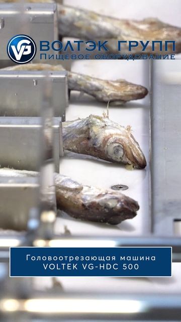 Головоотрезающая машина VOLTEK VG-HDC 500