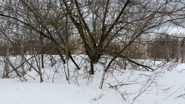 рп Фосфоритный, ул Зайцева