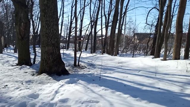 Кормушка и птицы