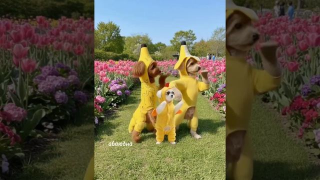 ТАНЦЫ ТРЕНД ТОП 🔥🔥🔥💣💣💣#видео #мультики #детям#детский #рутуб #топ #абаюдна #ии #прикол