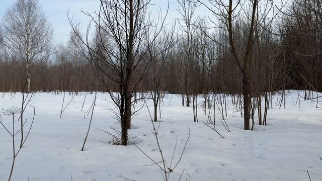 д Новотроицкая