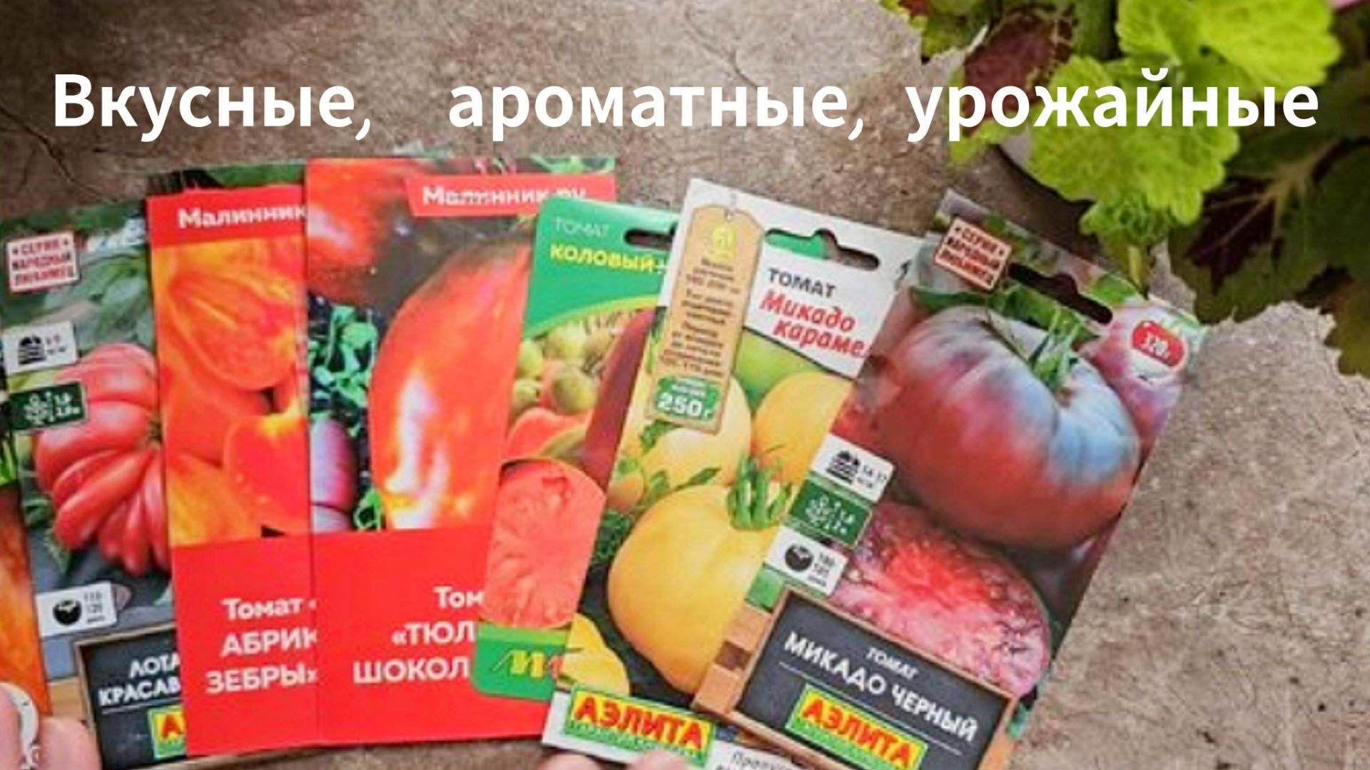 Томаты, которые я люблю