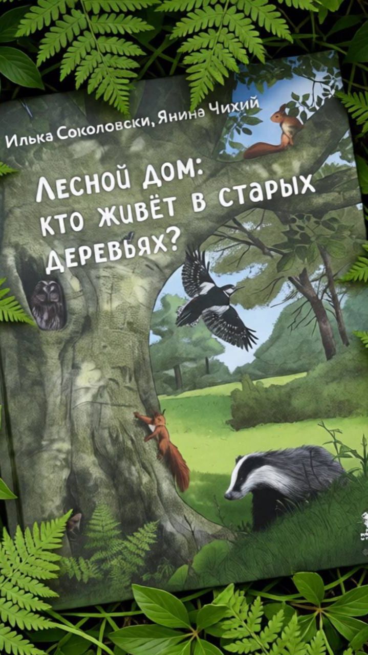 Петр Волцит о переводе книги 