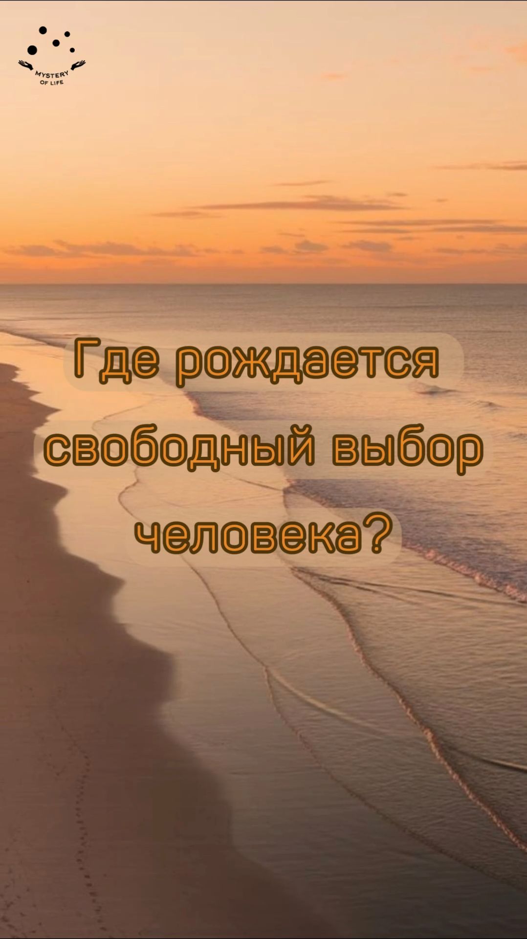 СВОБОДА ВЫБОРА СУЩЕСТВУЕТ!