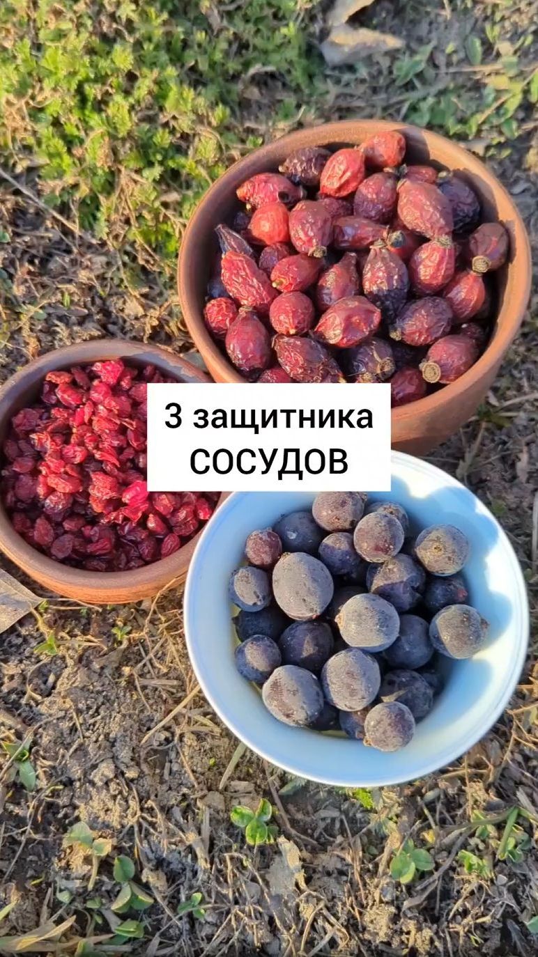 3 защитника сосудов