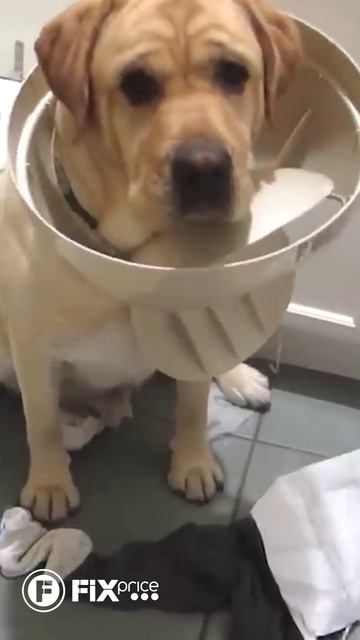 Швабра с распылителем  | FIX PRICE