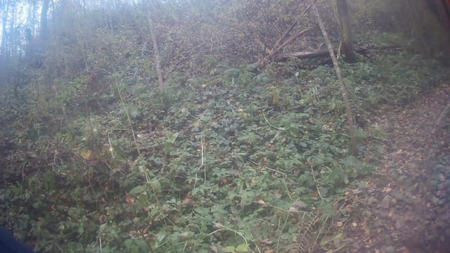 осенний выезд