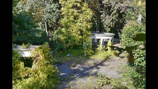 Хоста  14.10.2018