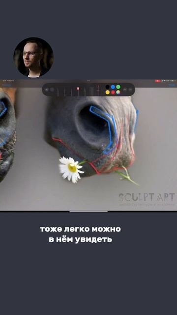 Лошадь. Нос и губы. #анималистика #лошадь