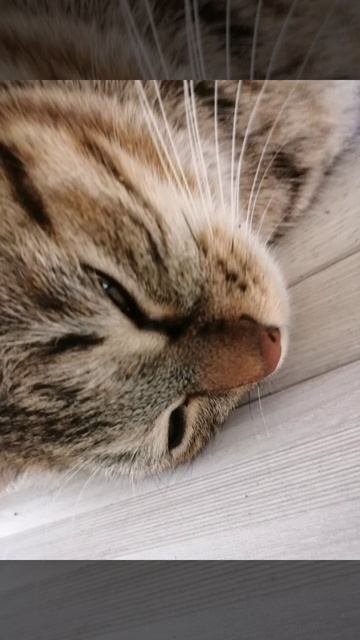 lv_0_20260327135925.mp4