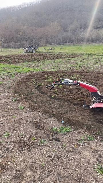 Мотоблок пашет.