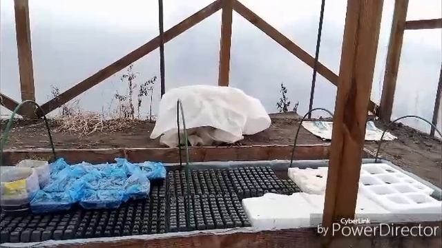 Затеняю теплицу от солнца / Посылочка.