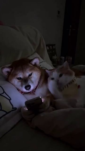 Что-то напомнило