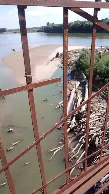 Царство змей