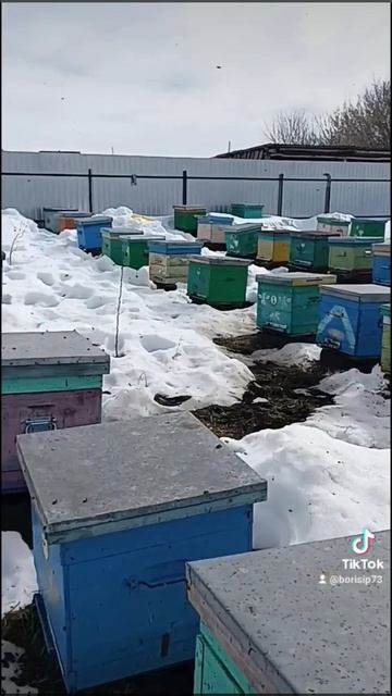 Вот такой выход 🐝🐝🐝