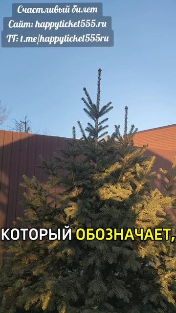 Отвращение к деструктивному бывшему — это не слабость, это выход из иллюзии