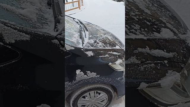 МНЕНИЕ О СИГНАЛИЗАЦИИ СТАРЛАЙН Е96