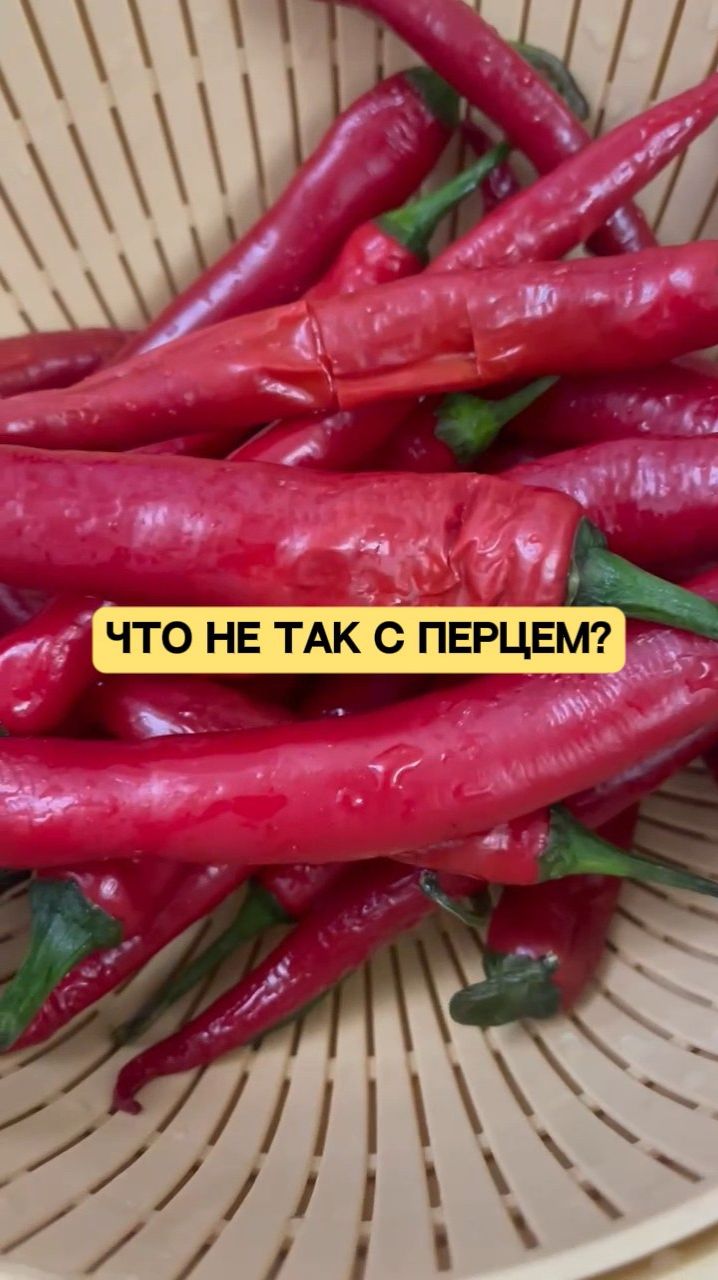 Что не так с перцем?