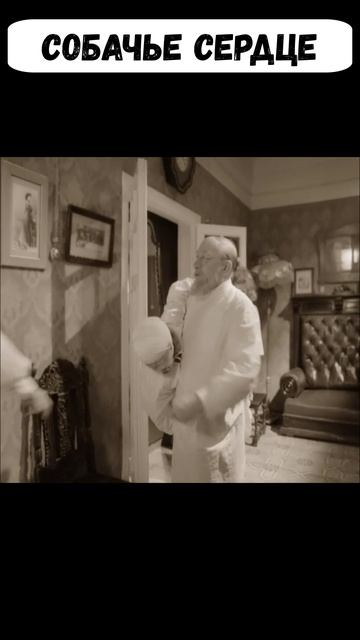 Собачье сердце