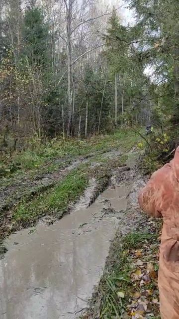 очередная лужа