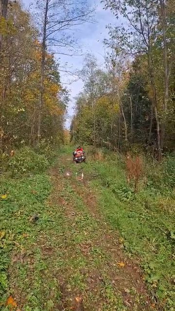 на скоростях