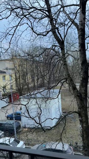 Трешка в тихом дворе у Новочеркасской