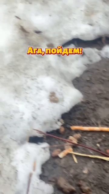 Выходим гулять!
#юрга #весна #оттепель #жкх #кузбасс