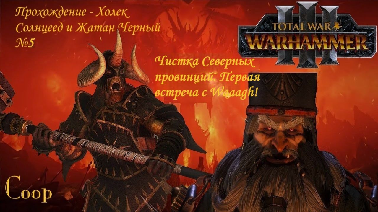 Warhammer 3 Total War - Прохождение - Чистка Северных провинций. Первая встреча с Waaagh!#5 - Coop