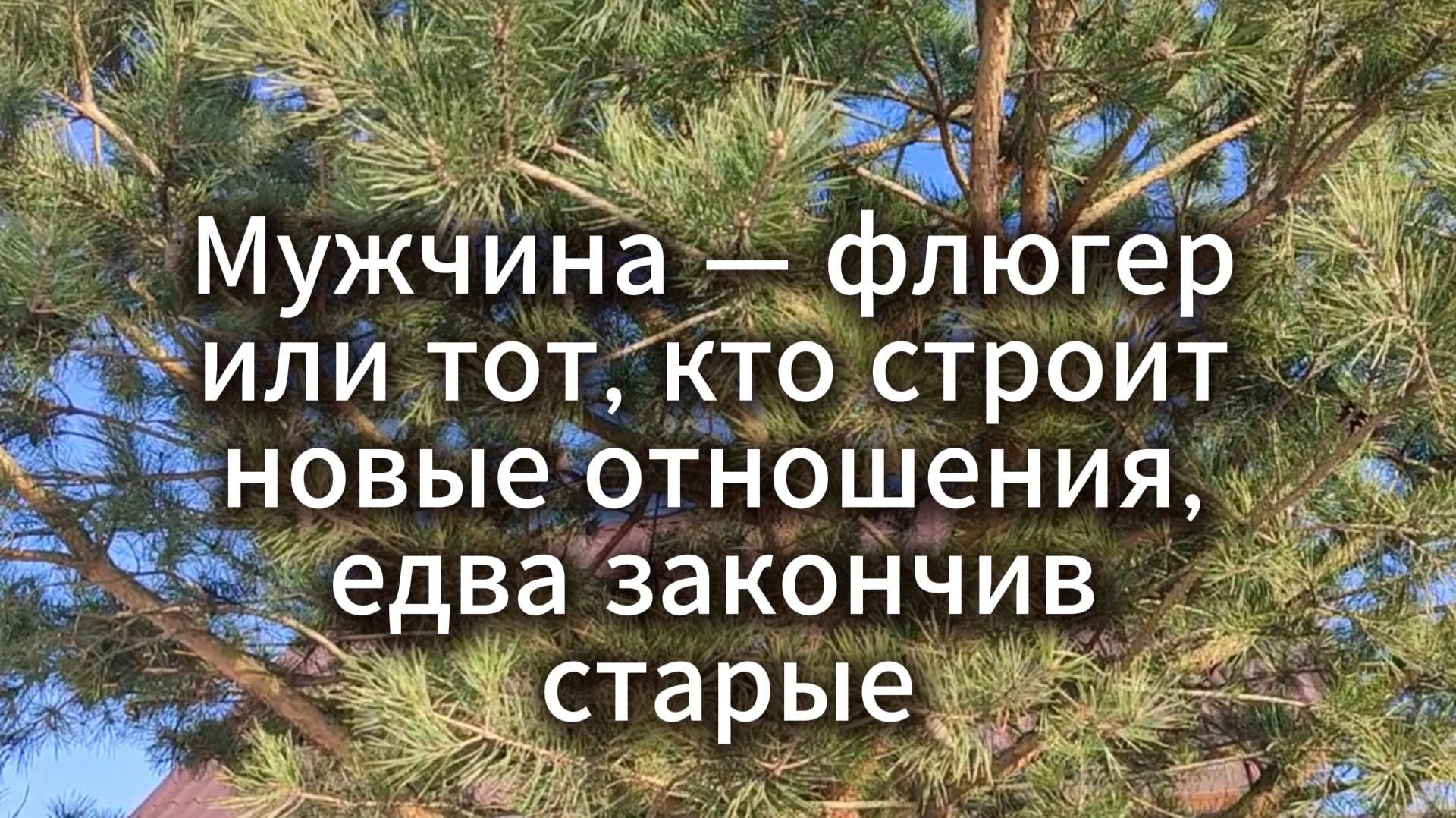 Мужчина — флюгер или тот, кто строит новые отношения, едва закончив старые