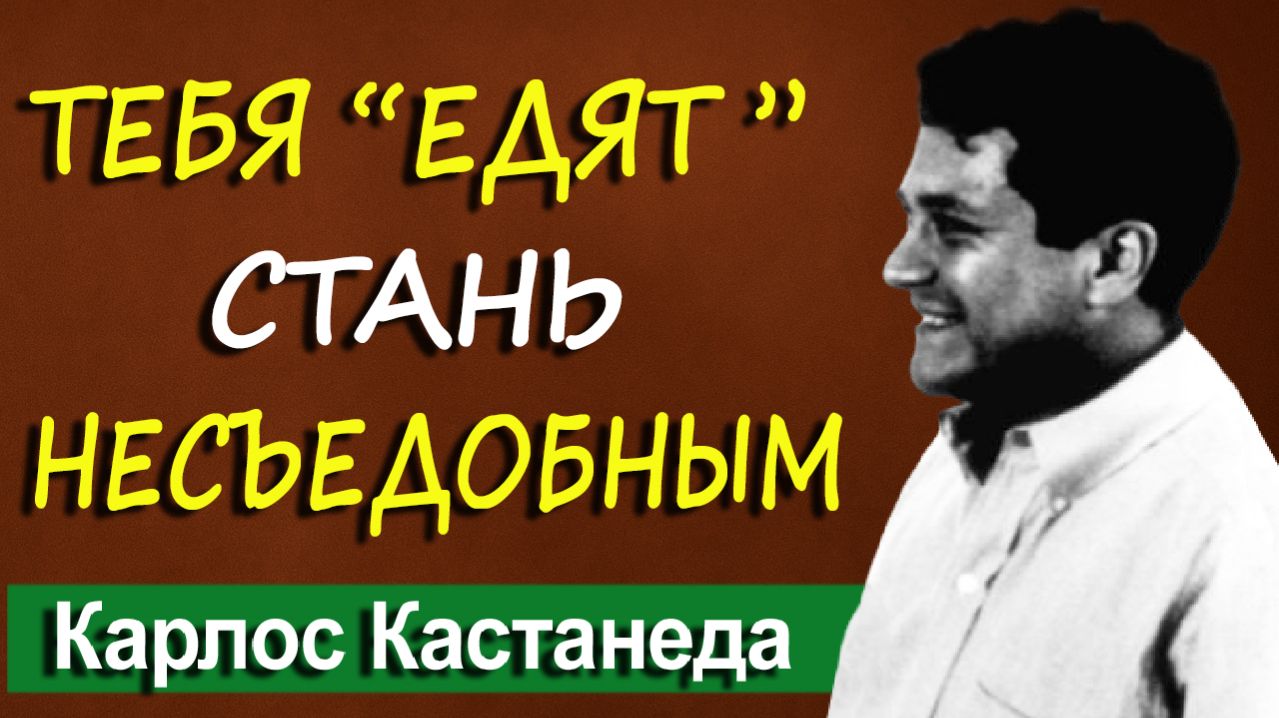 Тебя «едят» каждый день. Кастанеда знал, как стать несъедобным.