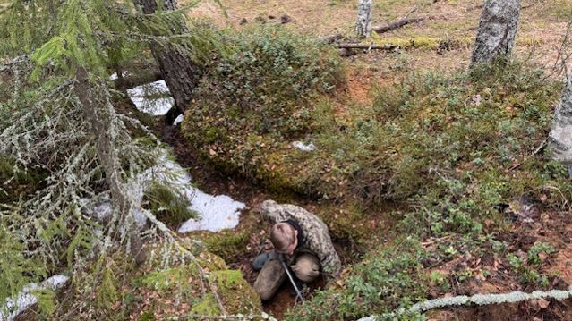 B8ae5f4453fac1a9831fb93f46dbf81a