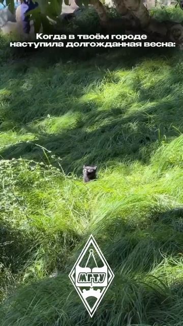 Весна пришла!