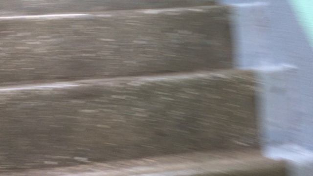 Теорема ЖКХ_Подъезд_2026.03.27_14_00